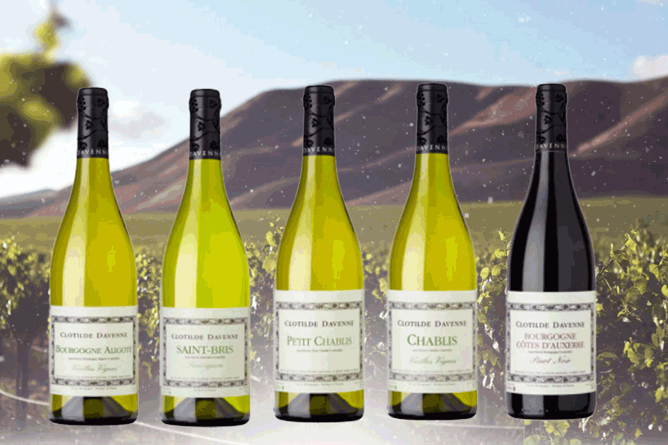 克洛蒂爾德達文酒莊系列