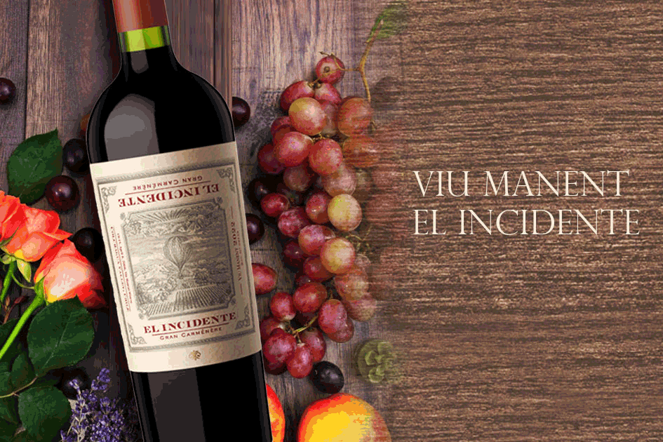 智利威瑪酒莊天外奇蹟